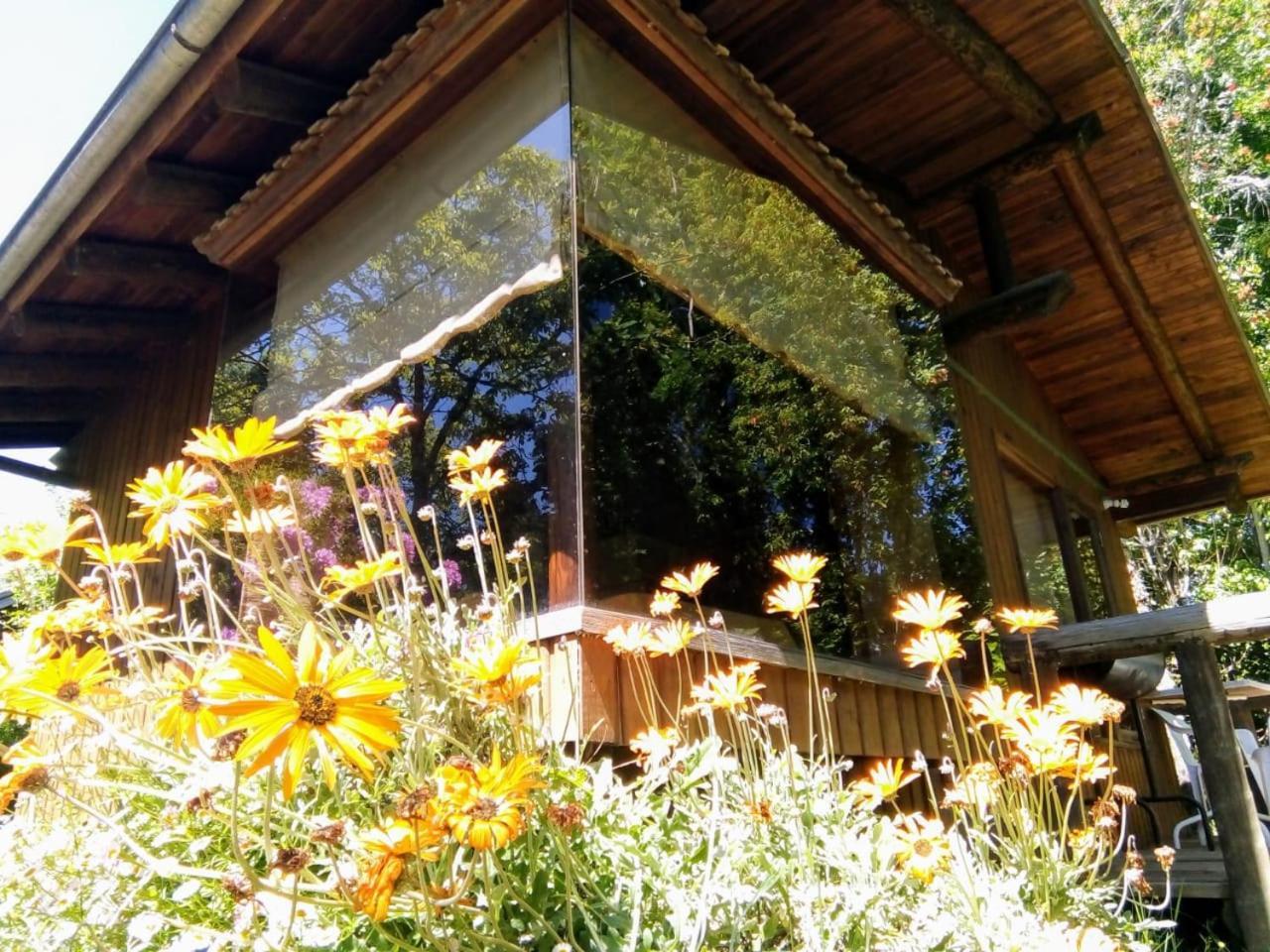 Cabanas El Cipres Pucón Zewnętrze zdjęcie