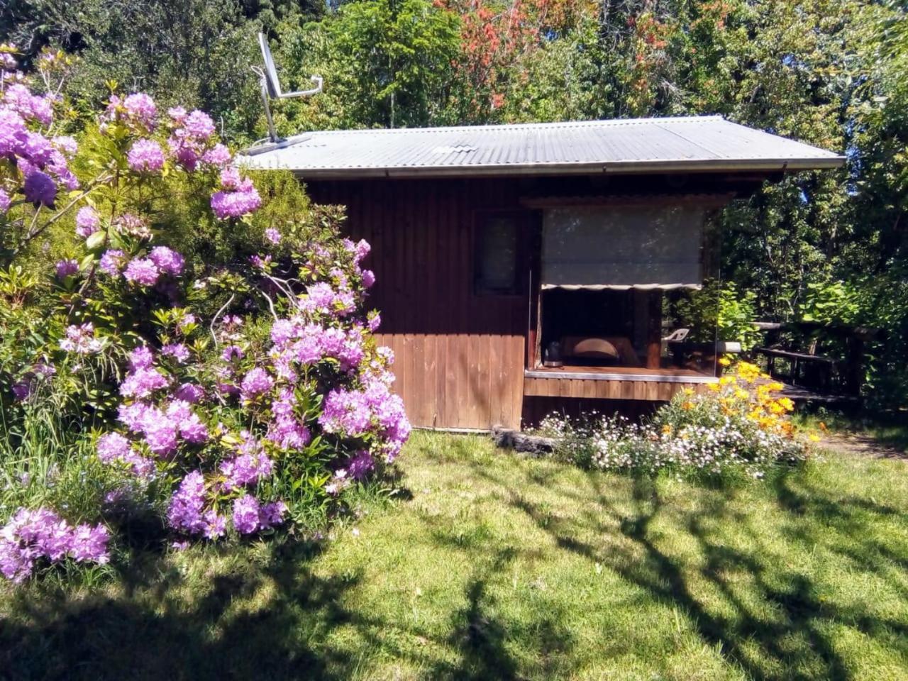 Cabanas El Cipres Pucón Zewnętrze zdjęcie