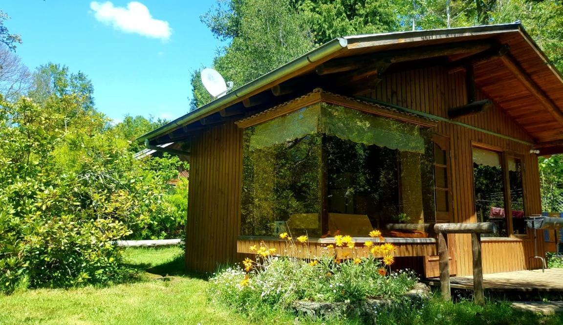 Cabanas El Cipres Pucón Zewnętrze zdjęcie